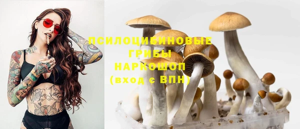круглые Верхний Тагил