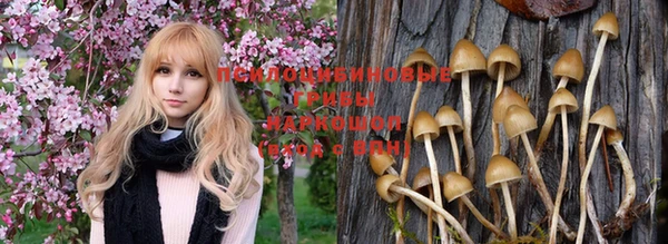 героин Верея